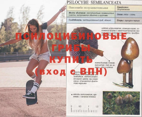 трава Алексеевка