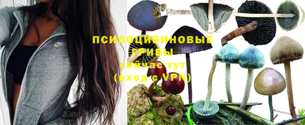 марки lsd Алзамай