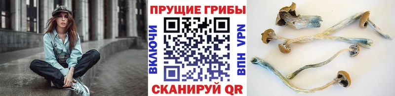 МЕГА ссылки  маркетплейс телеграм  Усть-Джегута  Галлюциногенные грибы GOLDEN TEACHER  хочу  